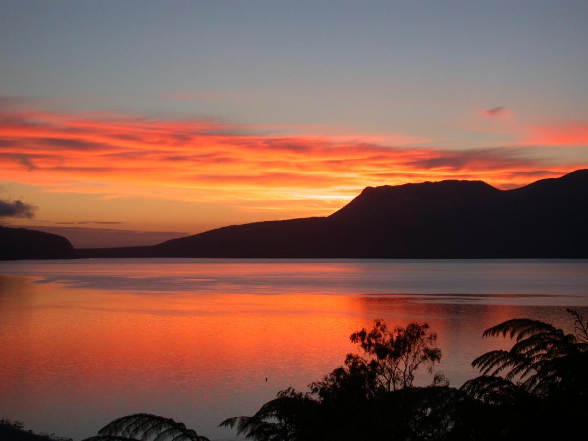 Te Whare -Lake Tarawera Tree-Top Nest エクステリア 写真